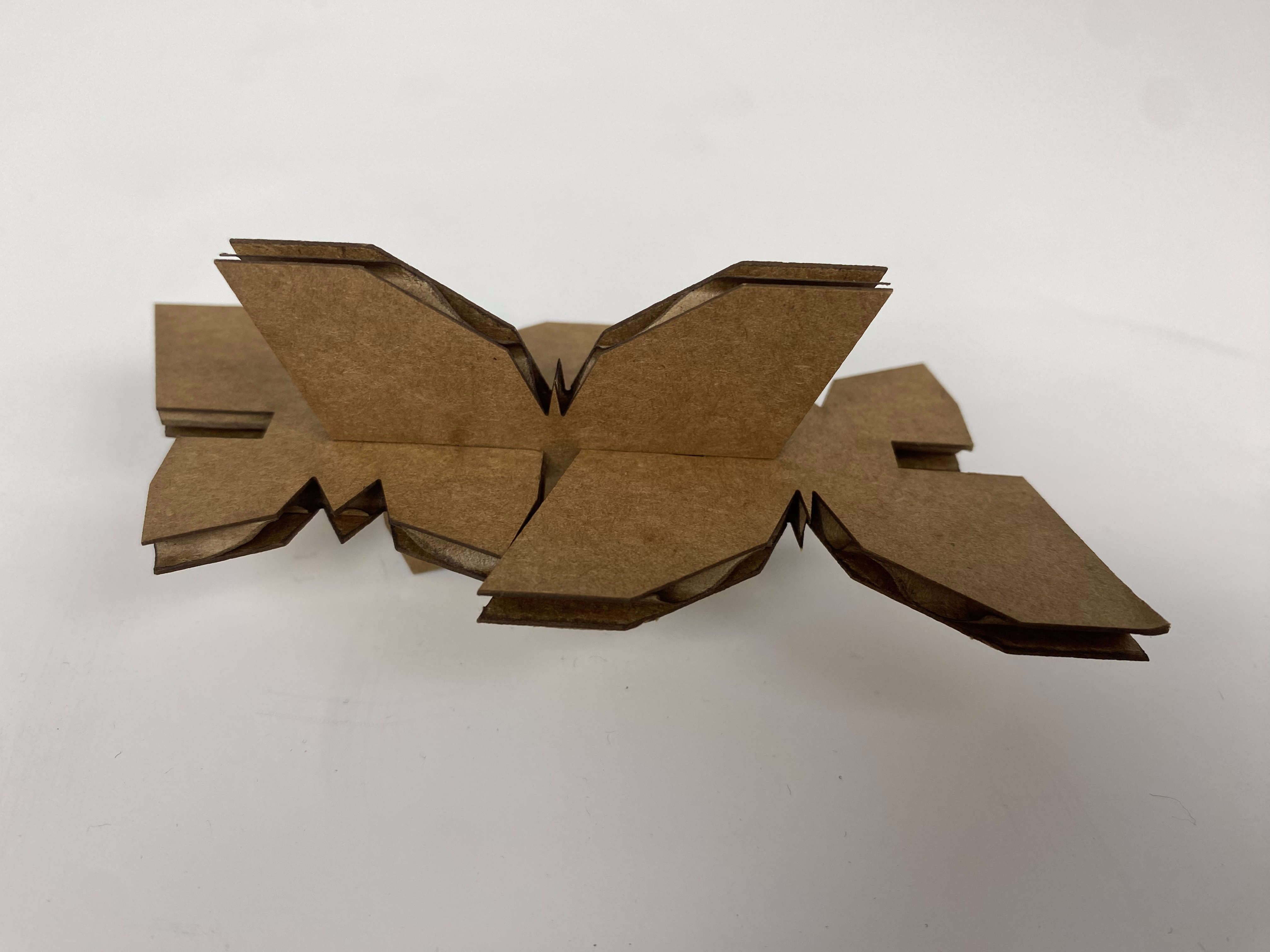 Butterfly polygon laser cuts
