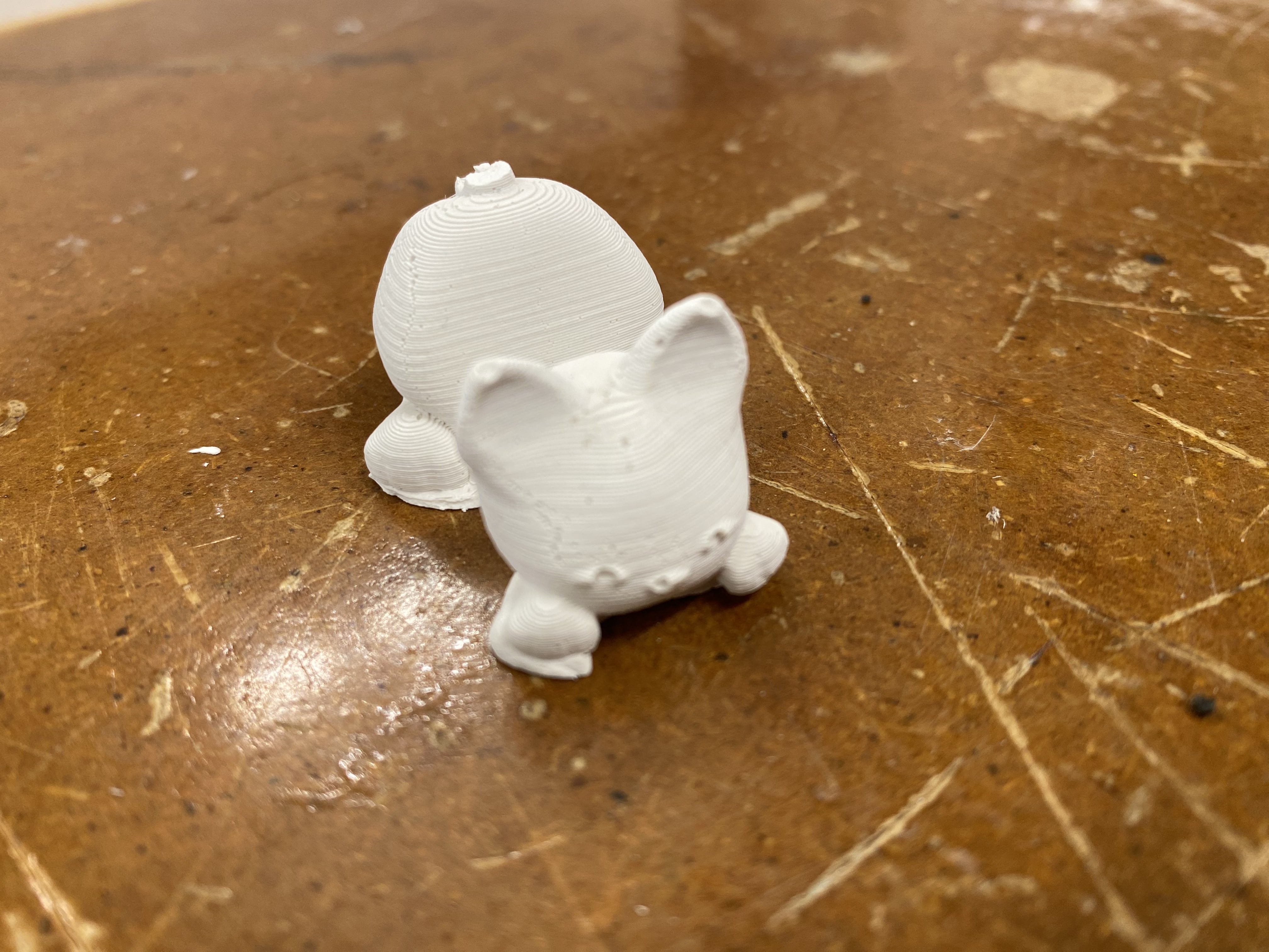 Plaster of cat